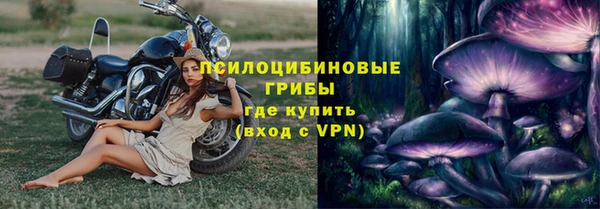 стафф Вязники