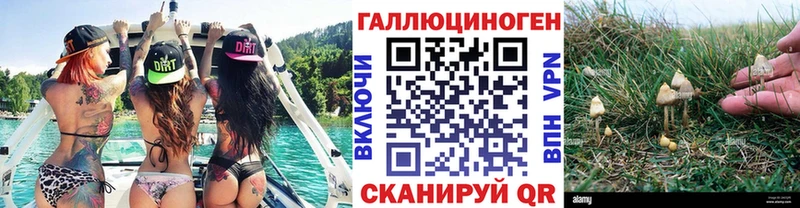 Псилоцибиновые грибы ЛСД  Купить где  Ленинск 